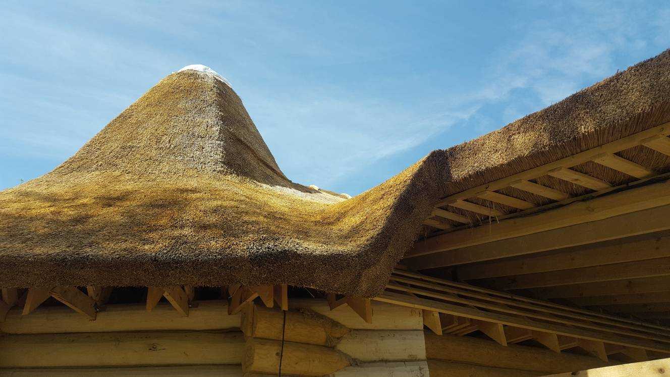 Соломенные крыши просторных навесов окружающих двор. Камышовая кровля купол. Соломенная крыша. Крыша из соломы. Крыша из камыша.