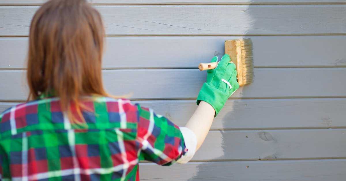 Краска для деревянных стен и потолков: описываем досконально