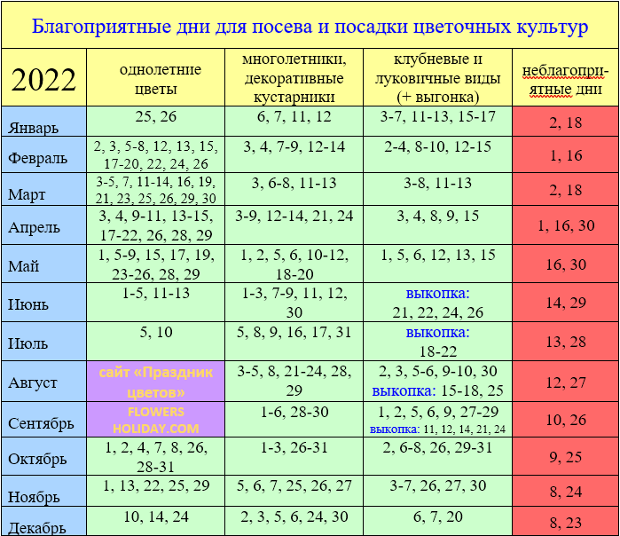 Осенние работы по лунному календарю садовода и огородника 2021 года
