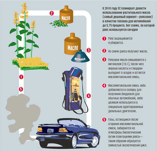 Как сделать биотопливо своими руками