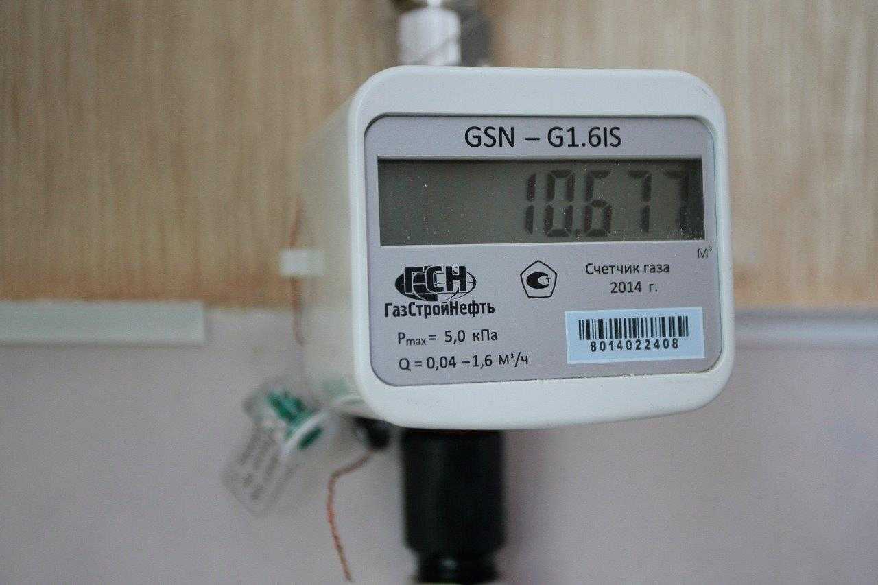 Счетчик 2021 года. Газовый счетчик GSN-G1.6is. Газовый счётчик GSN-G1.6is открытый. Газовый счетчик GSN 1 6. Газовый счетчик GSN-g1.GIS.