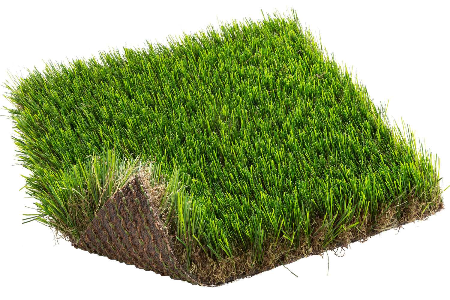 Как правильно выбрать газонную траву для посева во дворе и на детской площадке