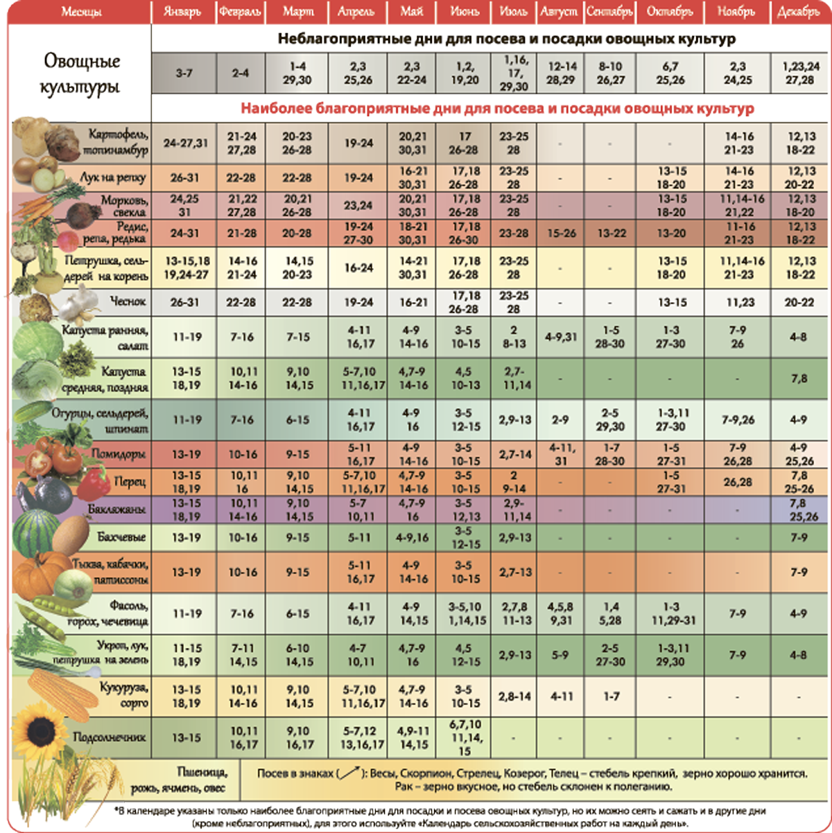Январь дни посадки. Лунный календарь на май посевной для овощей 2021. Календарь посева семян на рассаду. Таблица по срокам посева семян на рассаду. Благоприятные дни для посадки рассады.