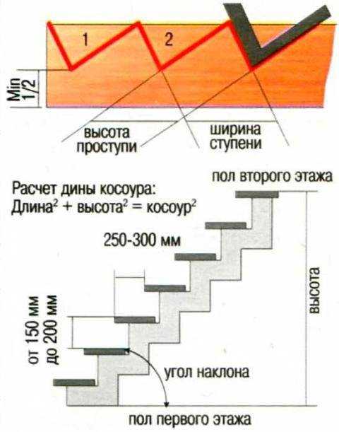 Определить ступени. Косоур лестницы толщина. Ширина доски для косоура лестницы. Схема изготовления косоура для лестницы. Ширина косоура для лестницы из дерева.