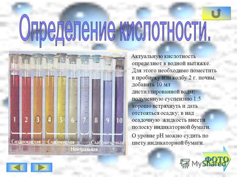Как узнать кислотность почвы на участке, определить самому
