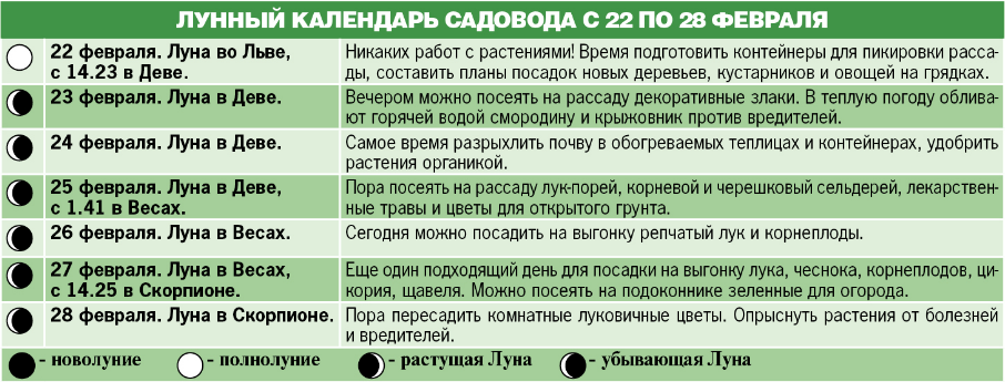 Лунный календарь садовода и огородника на 2021 год