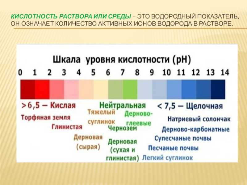 Кислотность элементов. РН кислотность шкала. Показатель кислотности растворов РН. Водородный показатель РН раствора. Шкала кислотности PH воды.