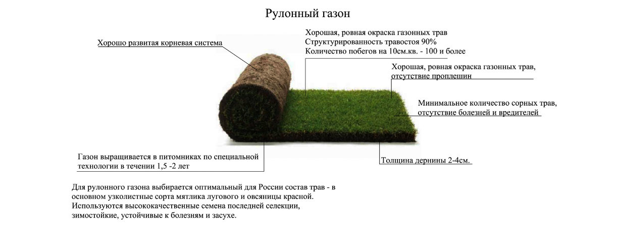 Схема газона. Размер рулонного газона стандартный. Схема устройства рулонного газона. Узел устройства рулонного газона. Схема укладки рулонного газона пирог.