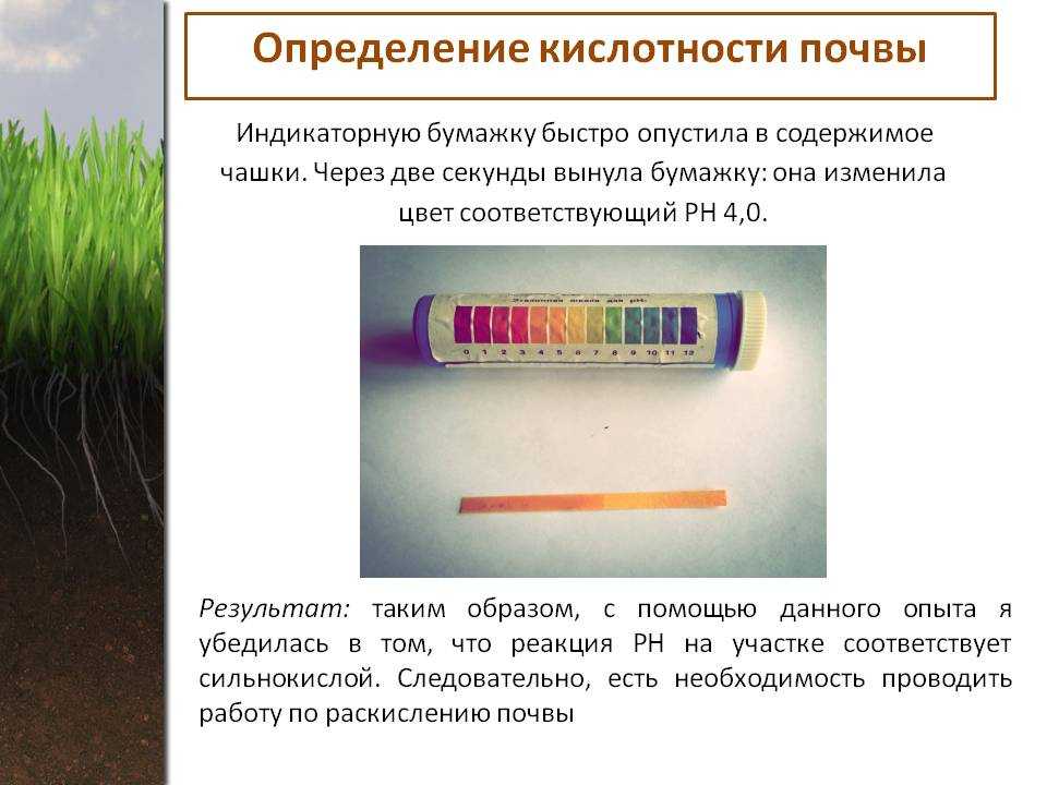 Кислотность почвы: оптимальные и избыточные показатели рн